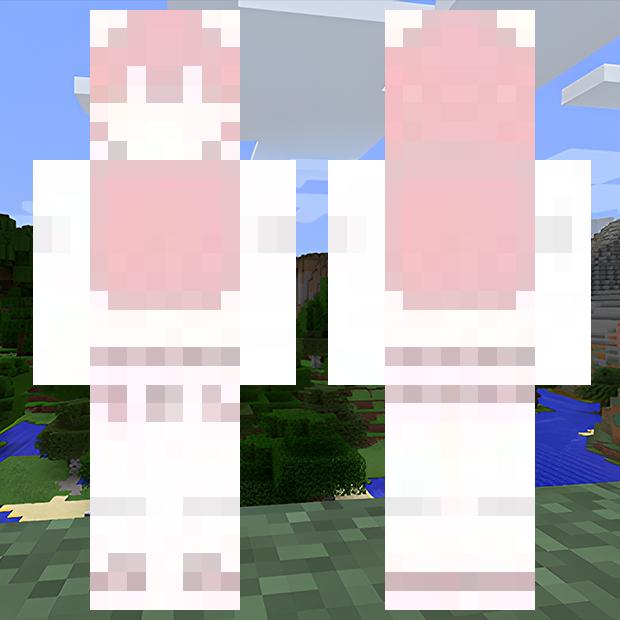 MinecraftSkinHub Skin NamePINK