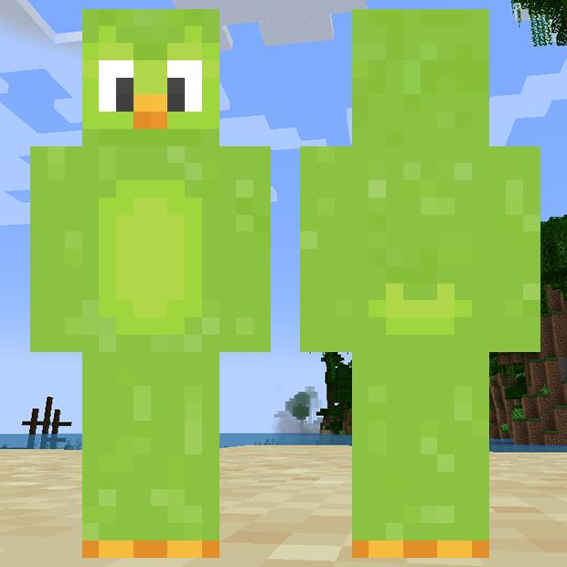 MinecraftSkinHub Skin NameDuolingo