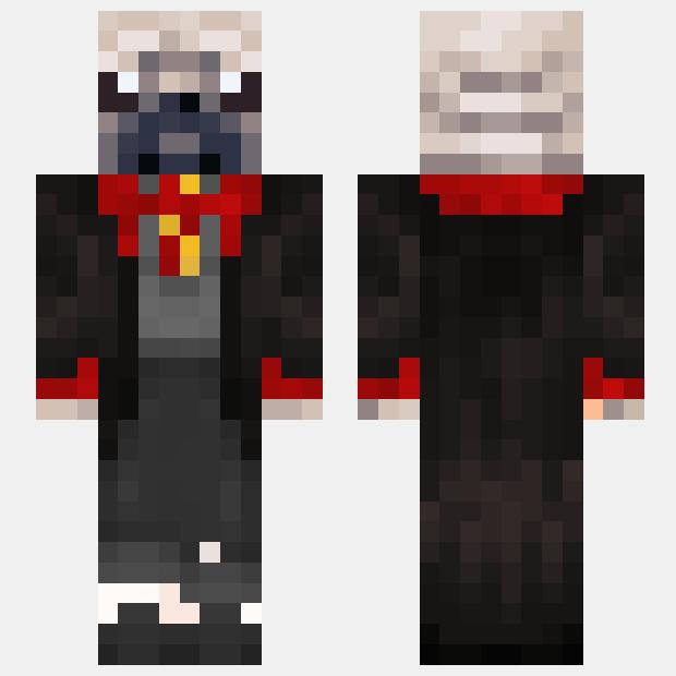 MinecraftSkinHub Skin Namepug potter